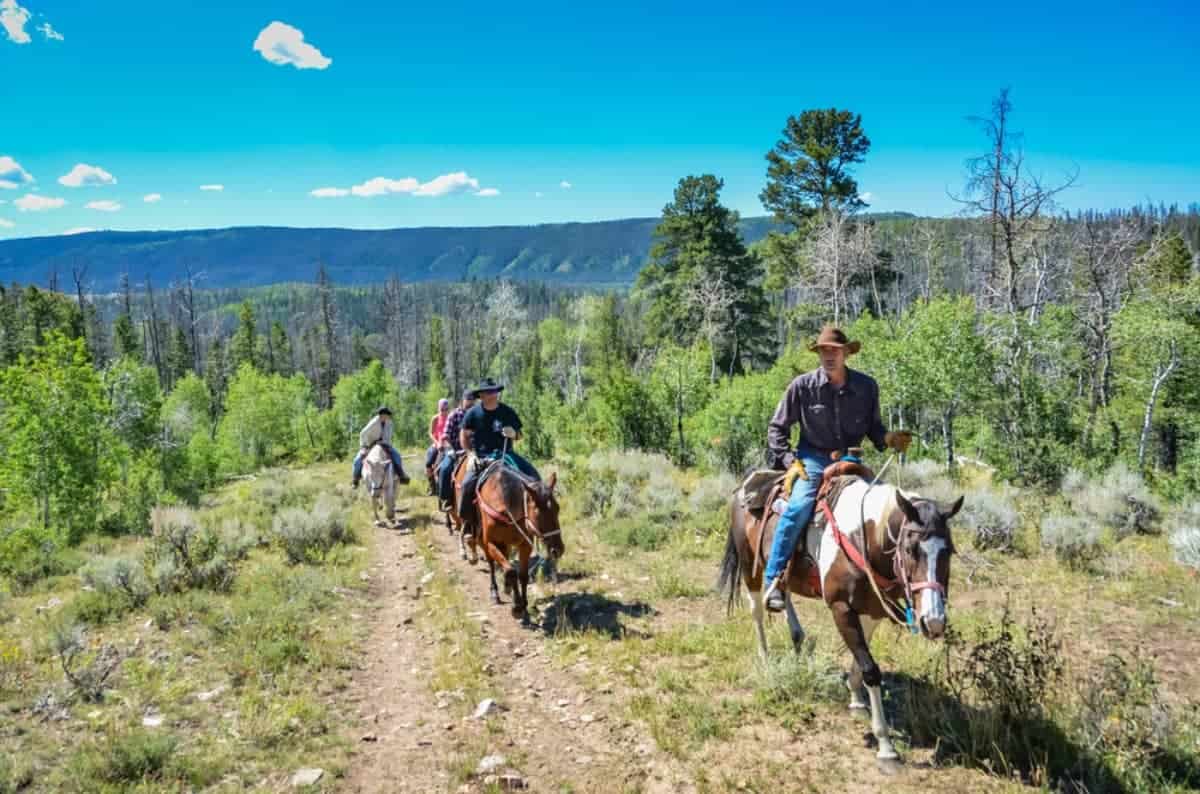 Horseback Riding at Medicine Bow National Forest