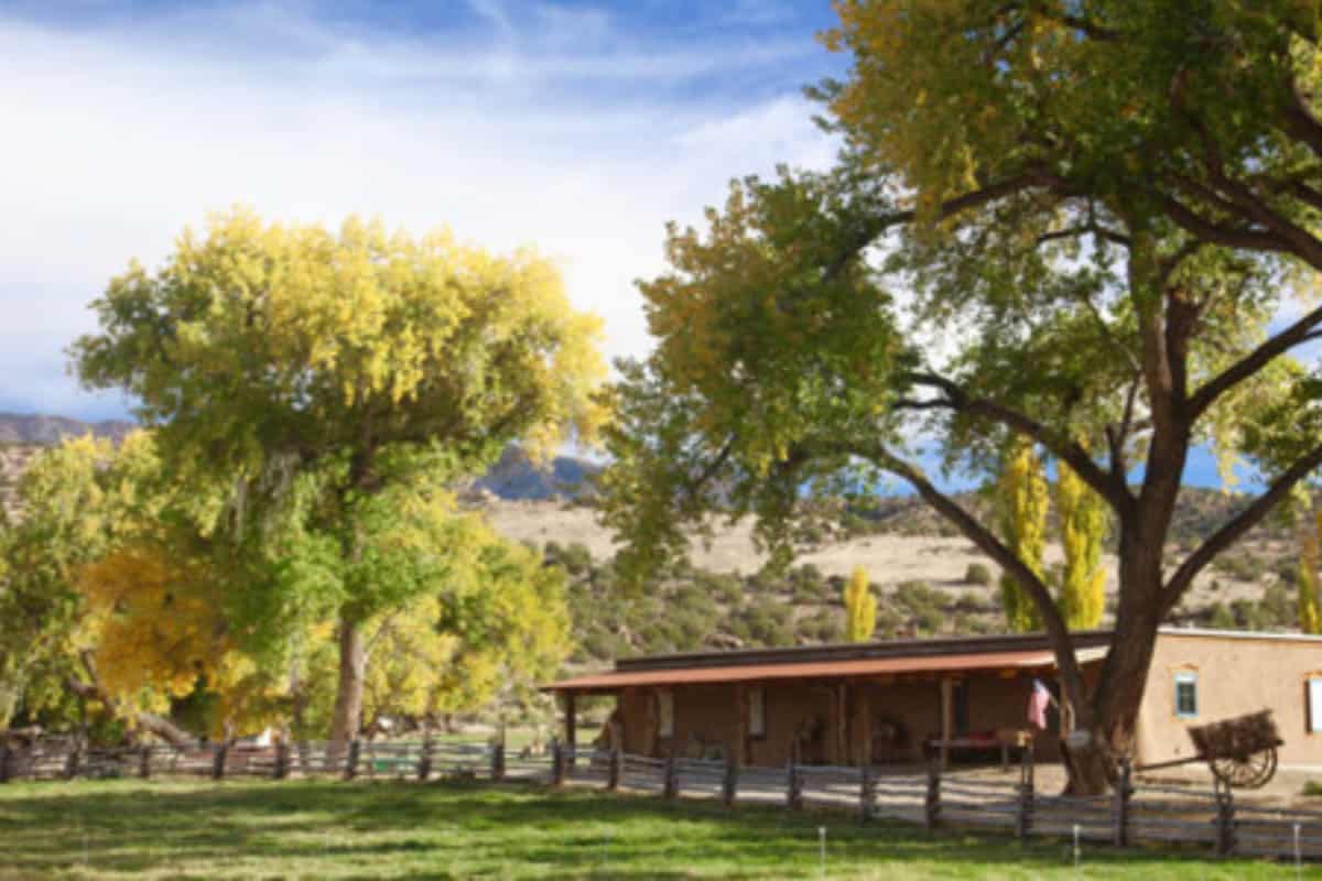 Canyon of the Ancients Guest Ranch