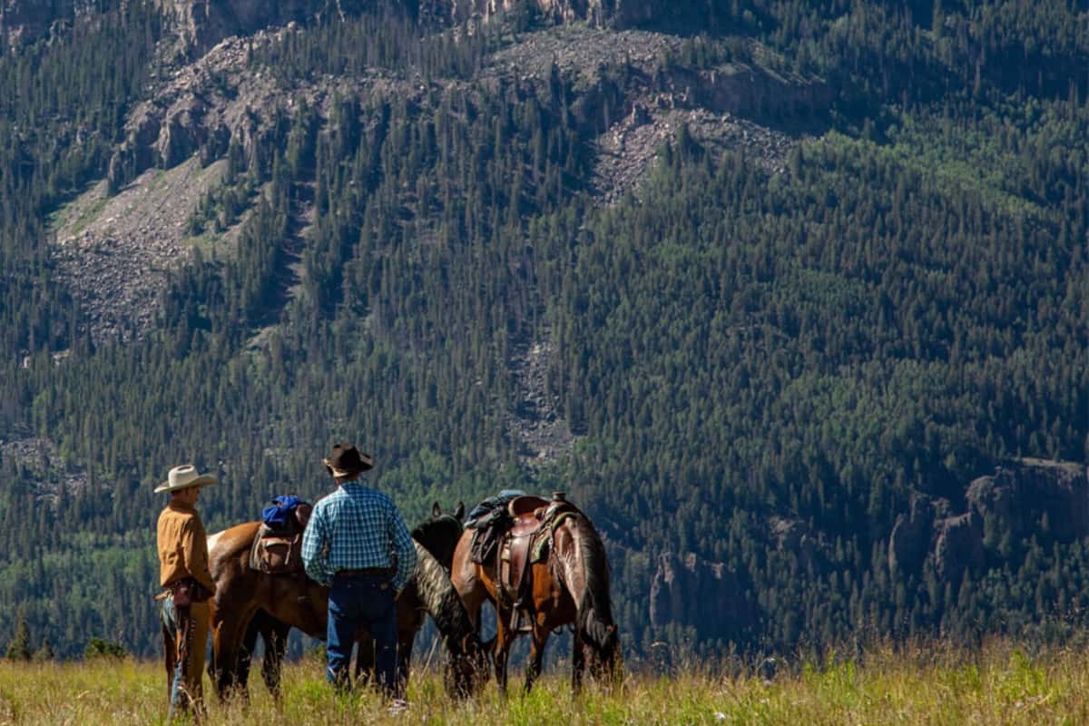 Rainbow Trout Ranch