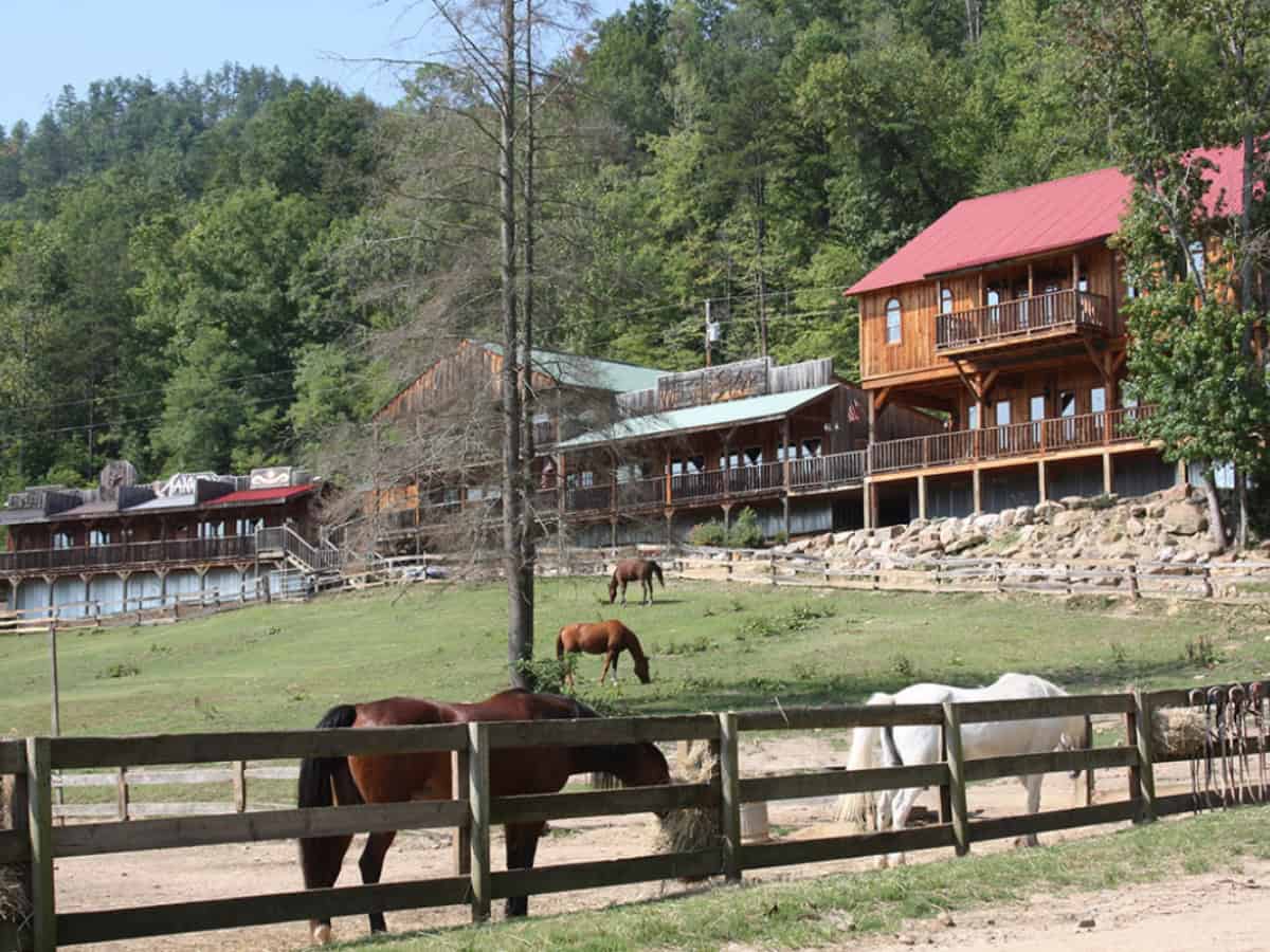 French Broad Dude Ranch