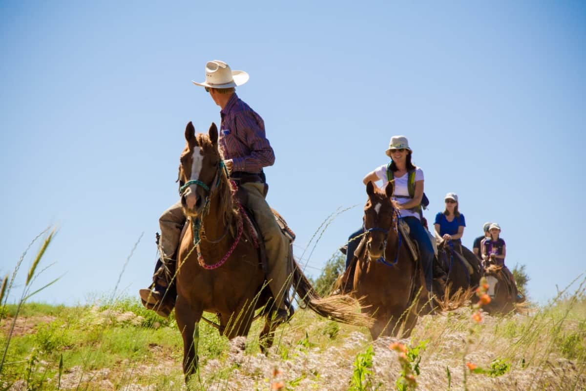 Zion Mountain Ranch