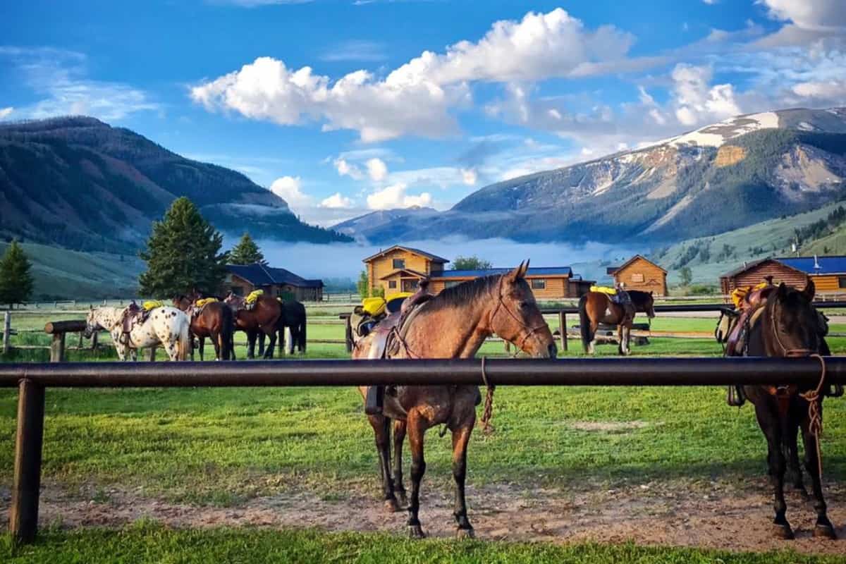 The Red Rock Ranch